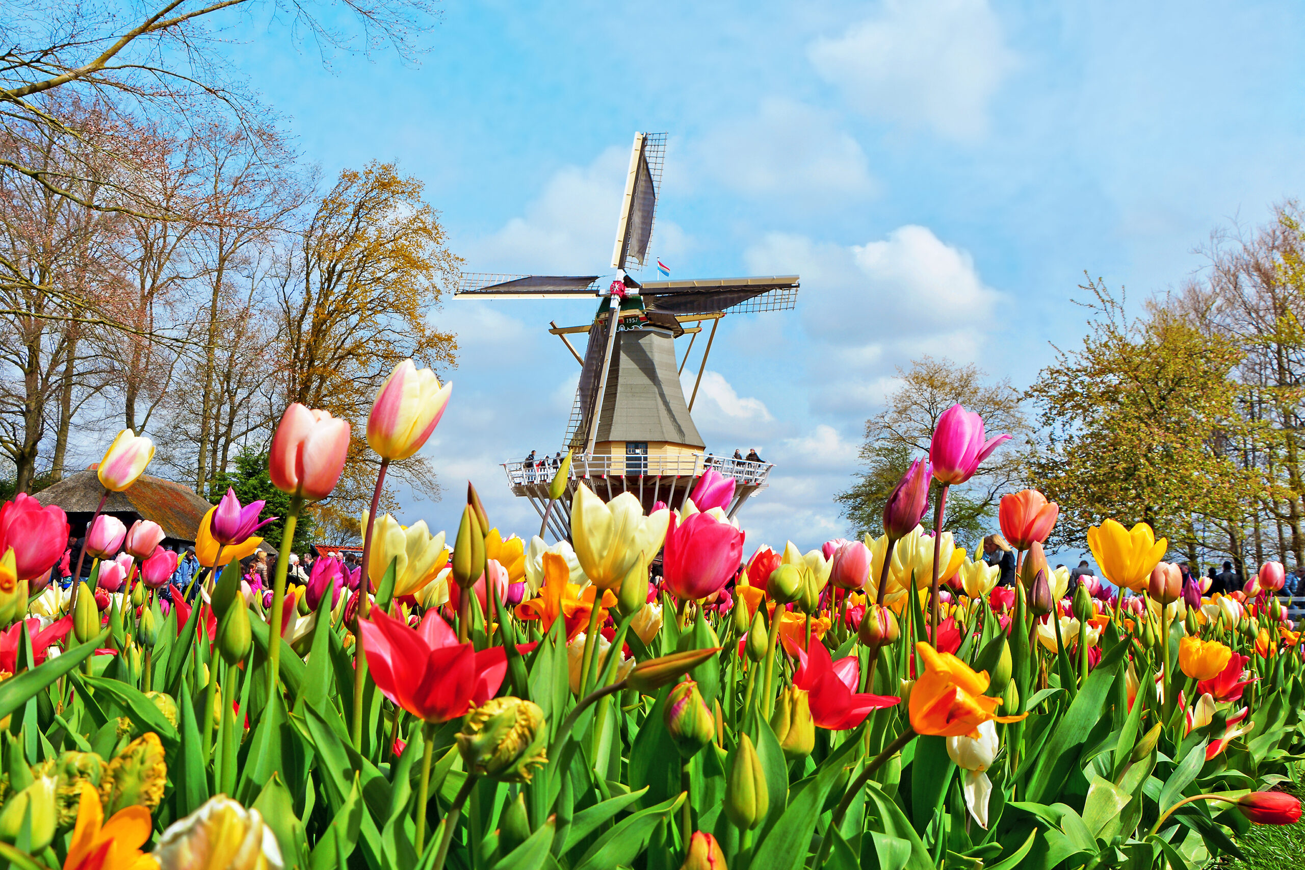 Keukenhof, Lisse